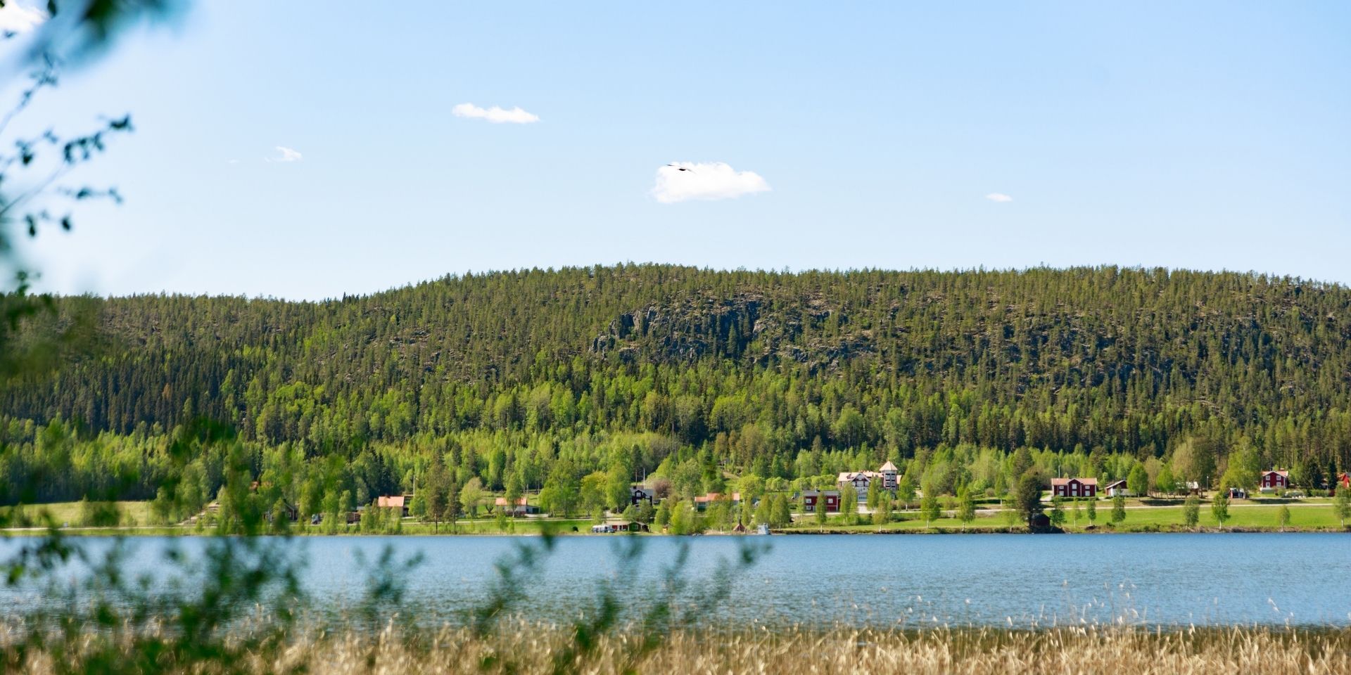 Tavelsjö. Sjön. Foto Philip Avesand