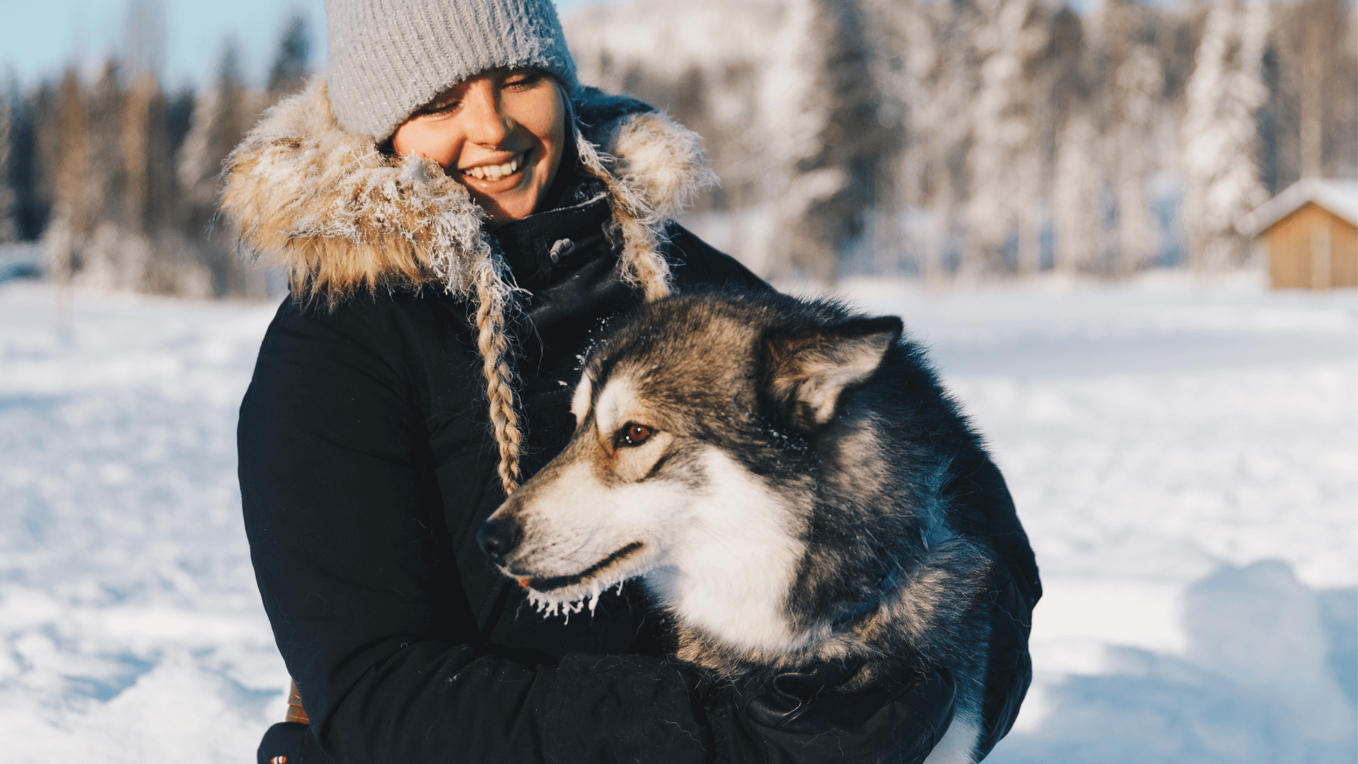 Huskies Granö Beckasin