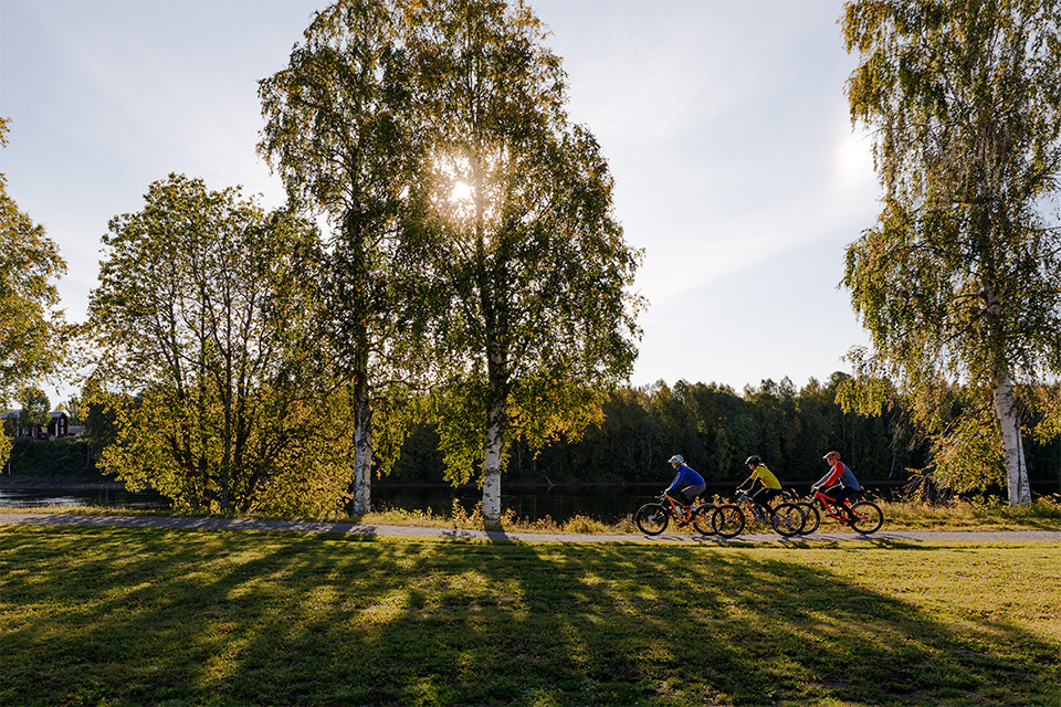 Cykling i Vännäs