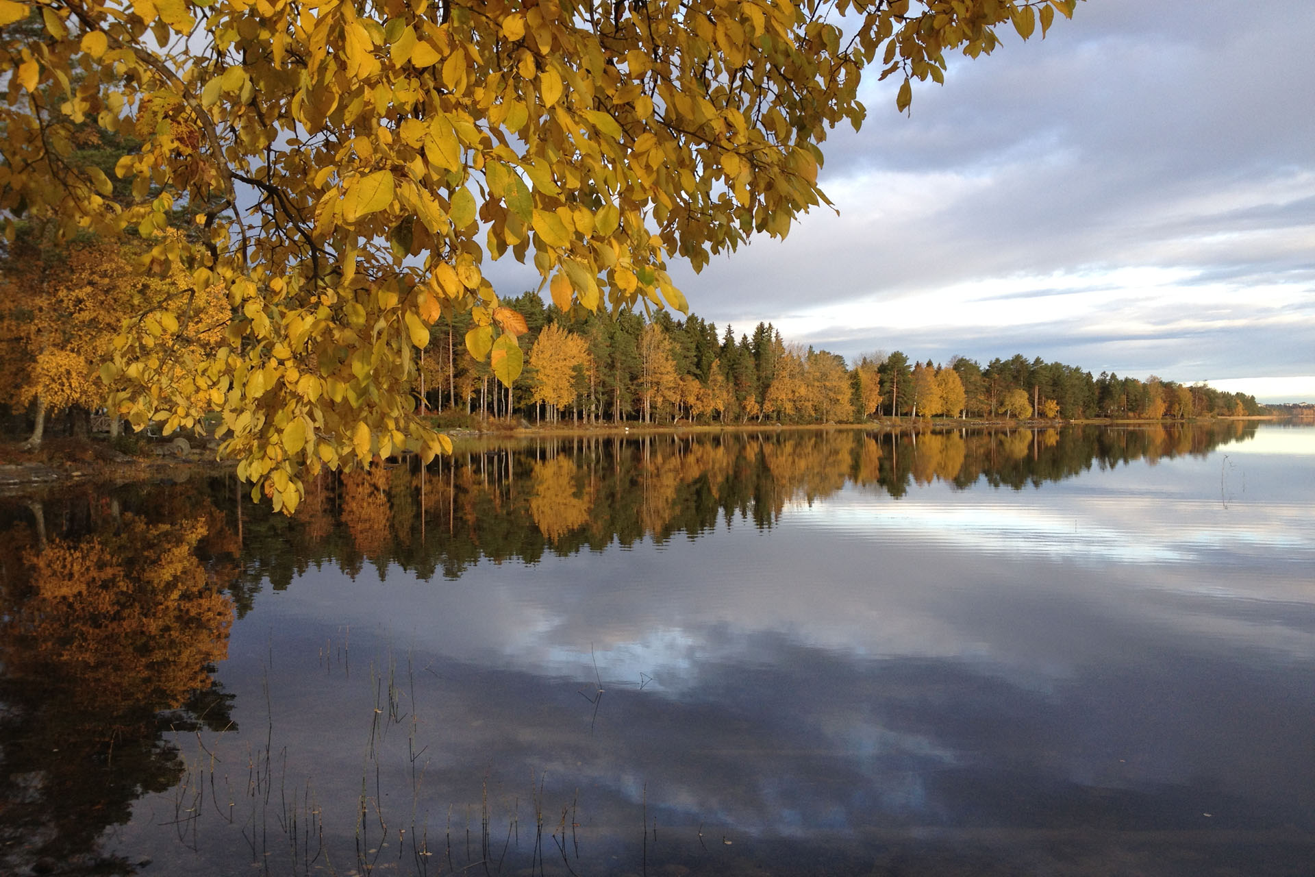Nydalasjön höst. Umeå kommun