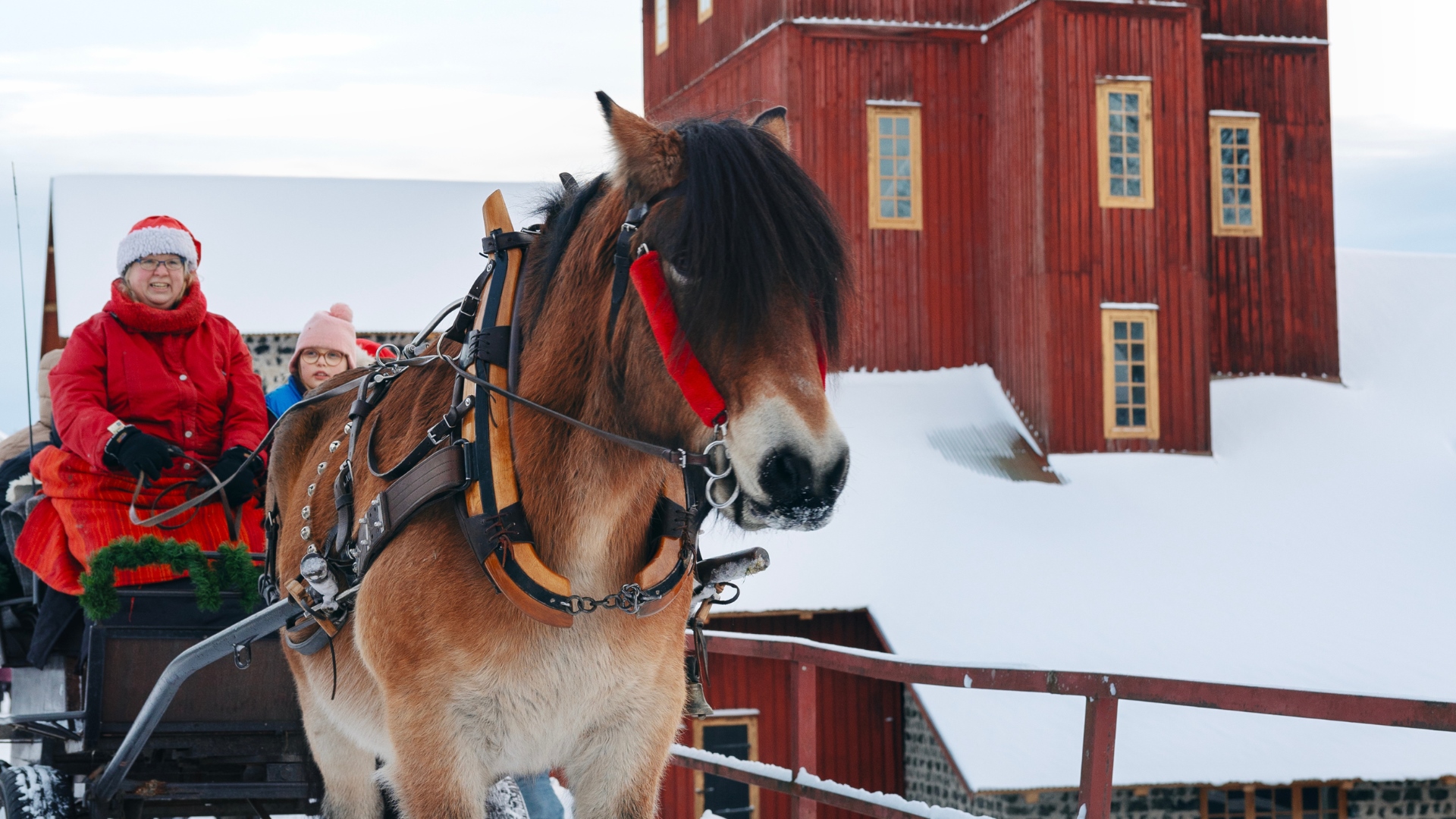 Häst, vagn, jul