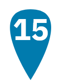 Pin 15