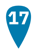 Pin 17