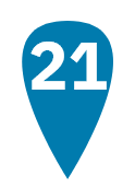 Pin 21