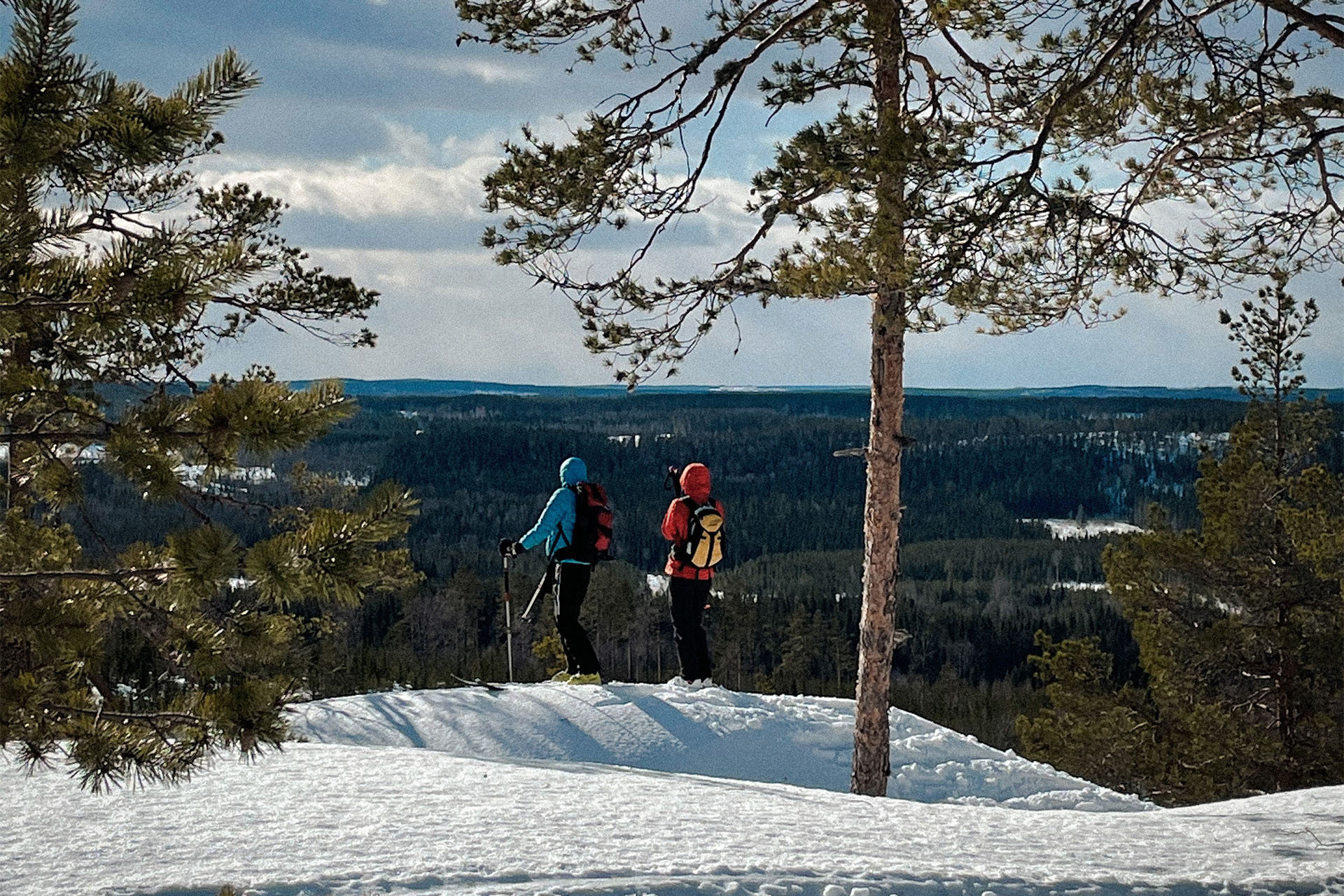 Skidåkning i Umeåregionens natur