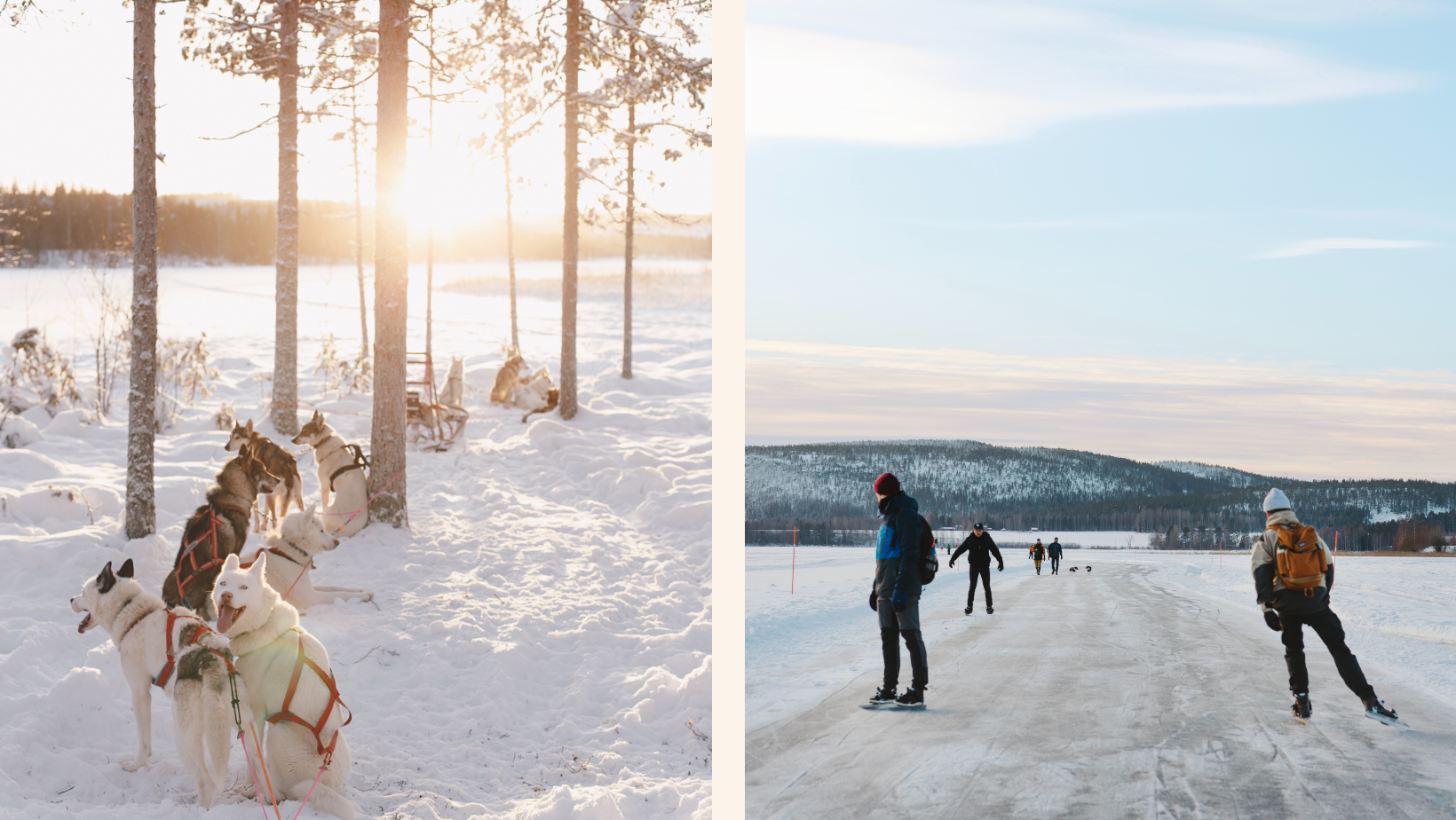 Hundspann och skridskoåkning på tavlesjö