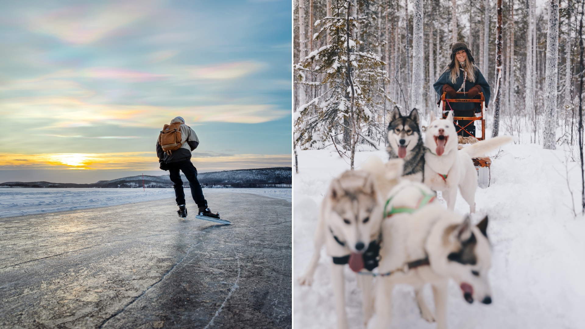 Skridskoåkning och hundspann
