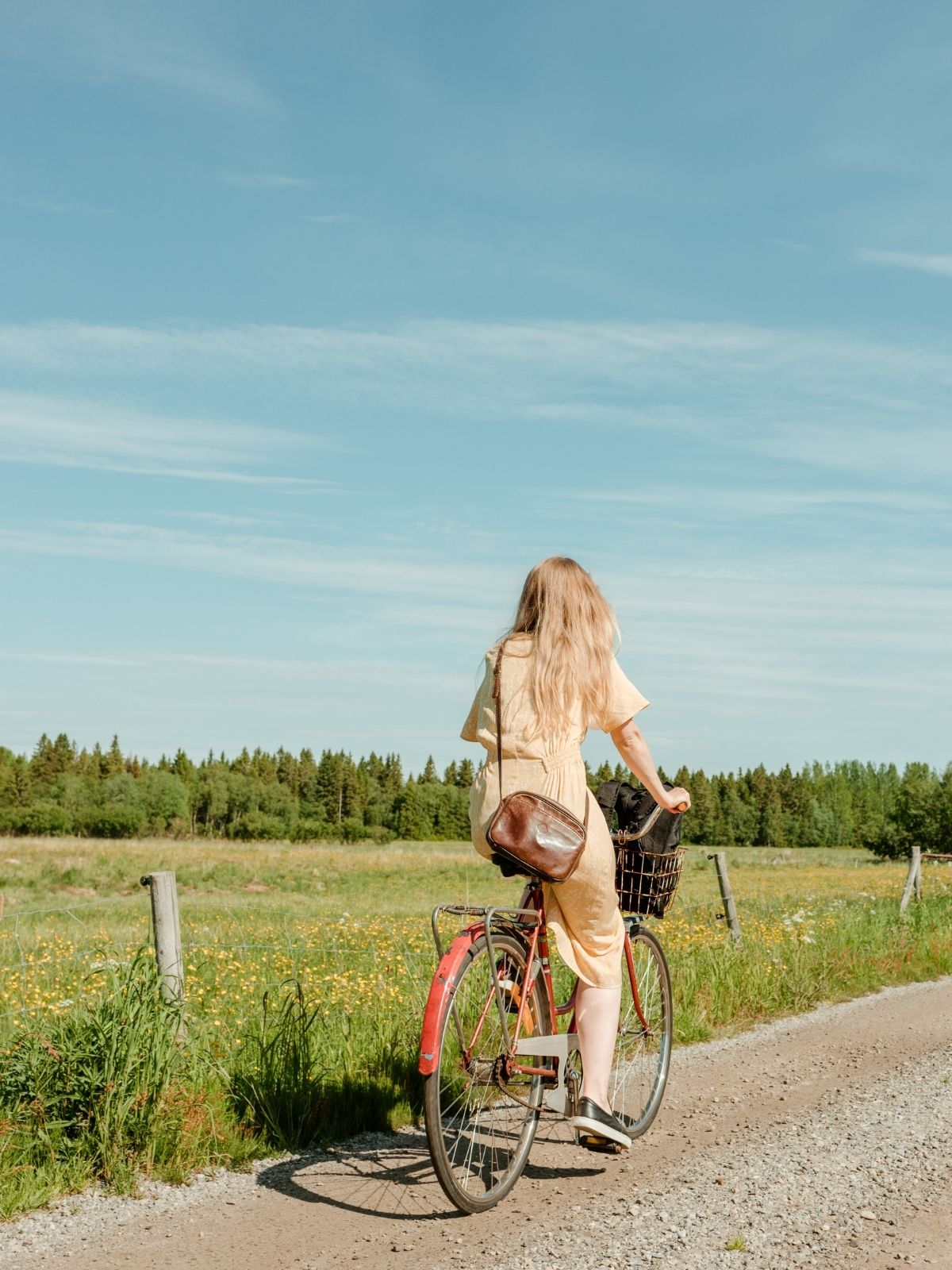 cykel-natur