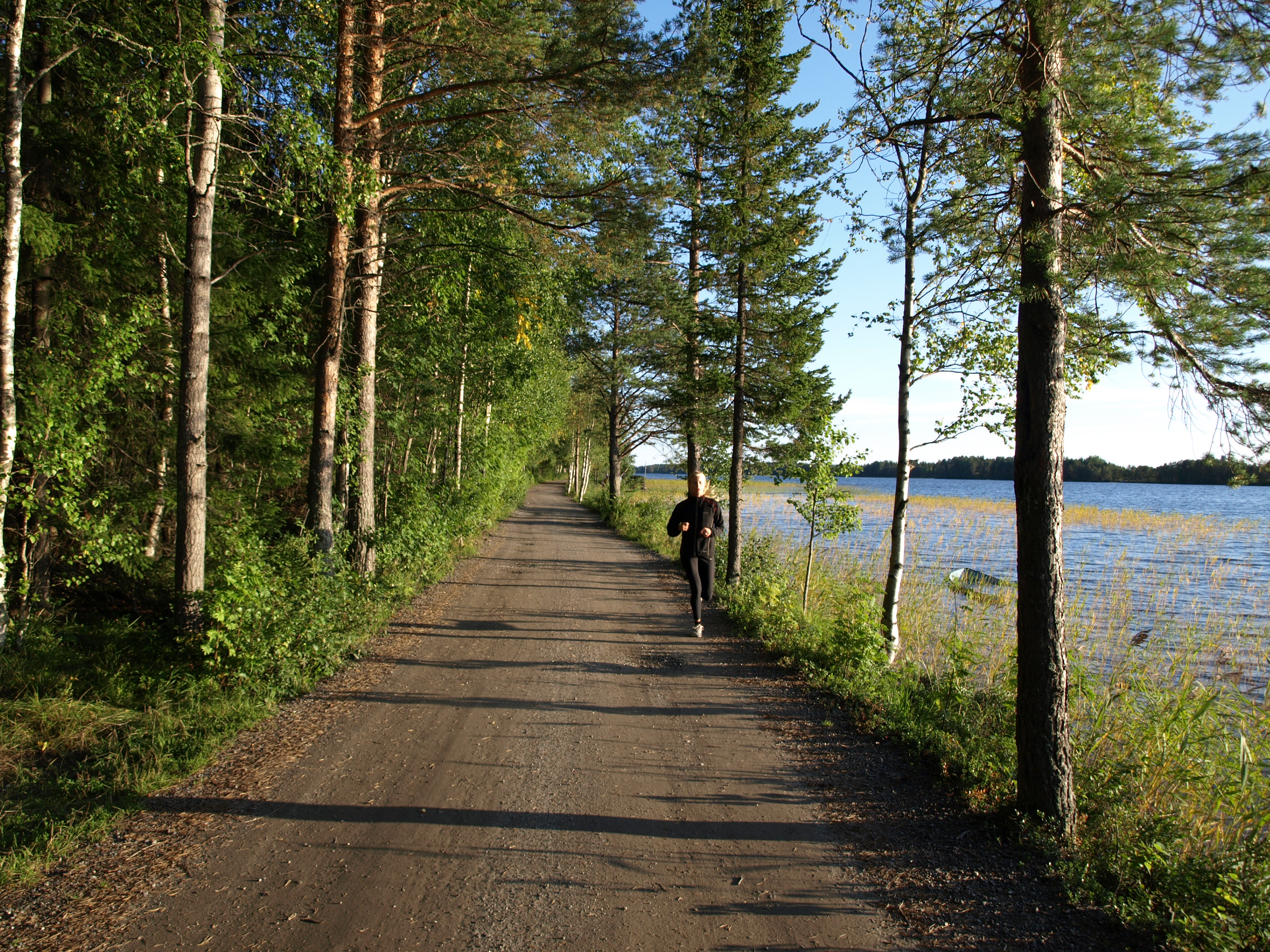 träning-nydala