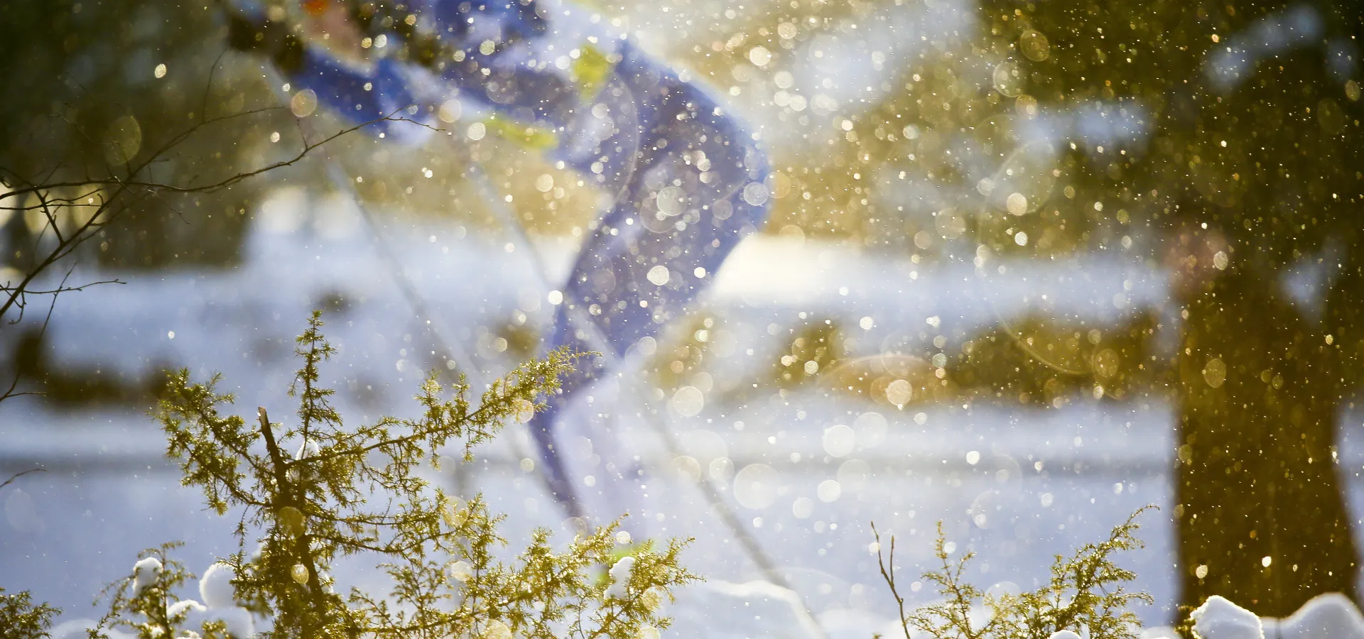 Skidåkare SM-veckan