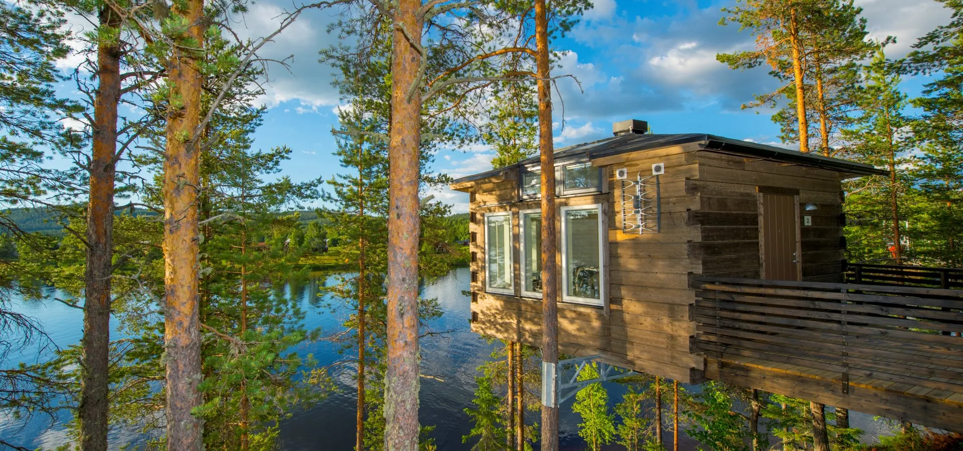 Fågelnäste. Granö Beckasin