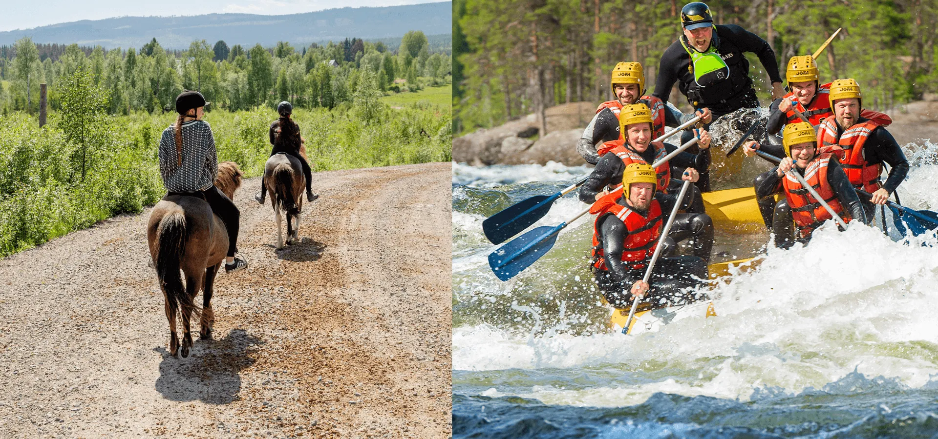aktiviteter möhippa