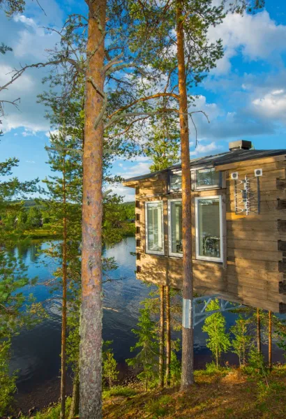 Fågelnäste. Granö Beckasin