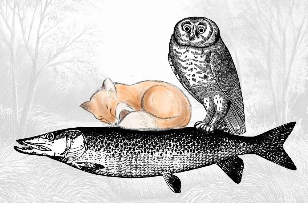 Birds, fish and everything in between