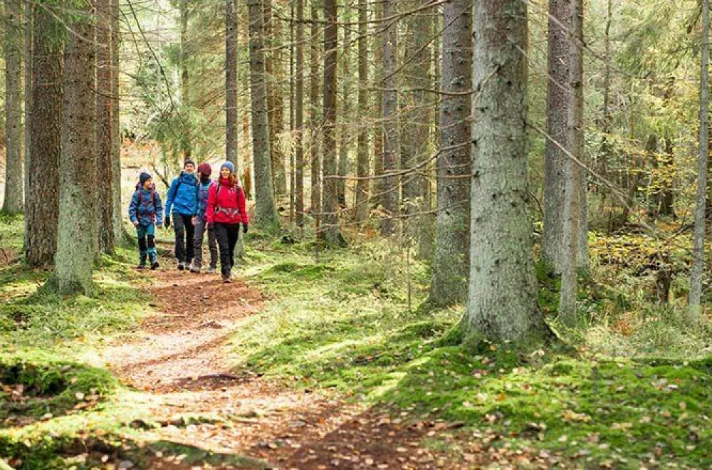 Hiking - Strömbäck Kont