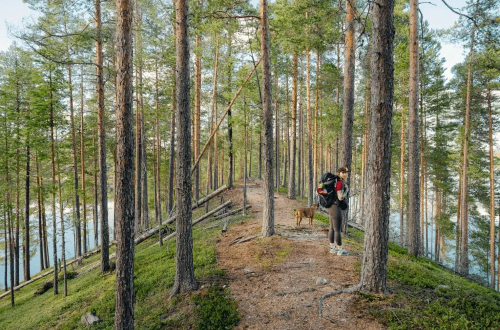 Hiking festival Hajka