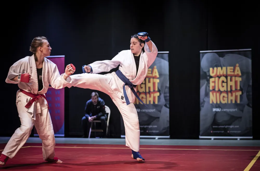 Umeå Fight Night 4