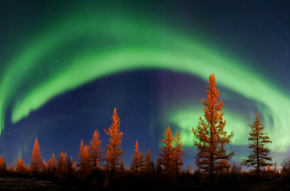 Northern Lights Evening at Hamptjärnsberget