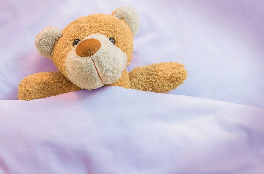 Nallarnas natt på Väven