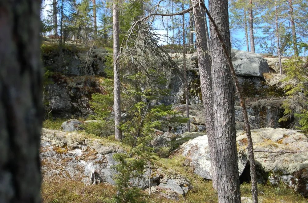 Gullsjöleden (copy) (copy) (copy) (copy)