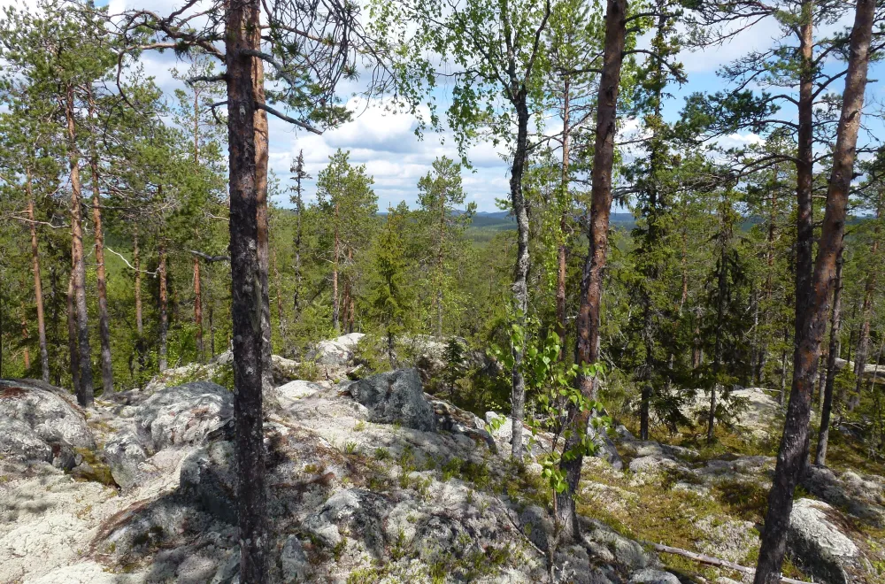 Gullsjöleden (copy) (copy) (copy) (copy) (copy)