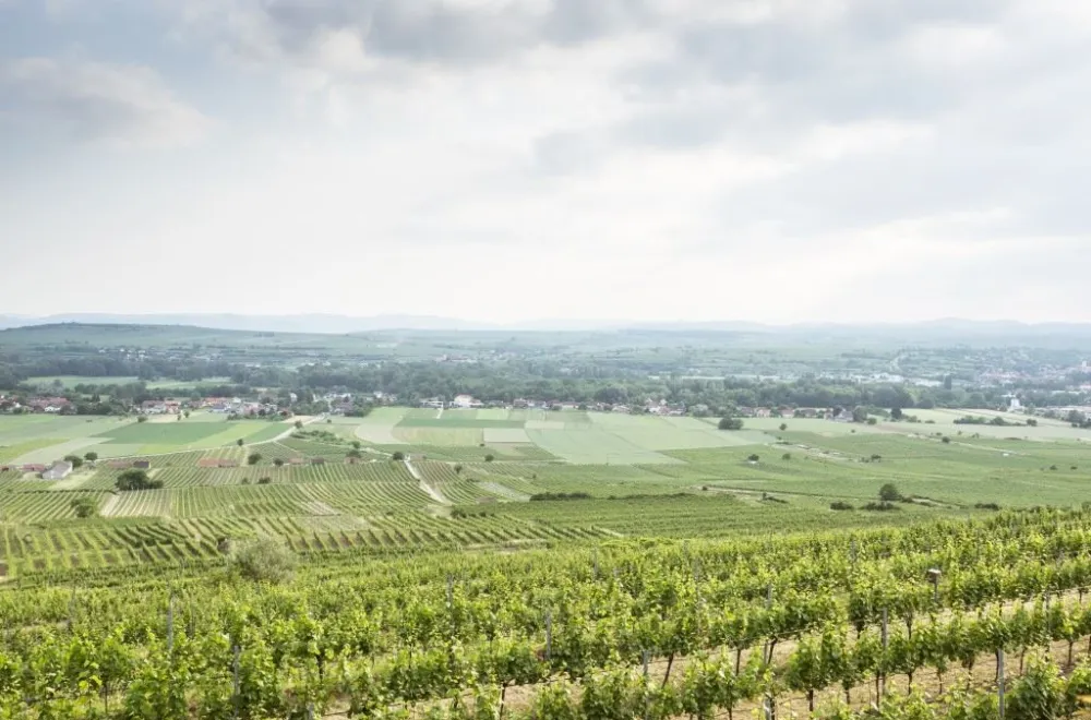 Winemaker’s Dinner with Weingut Hirsch