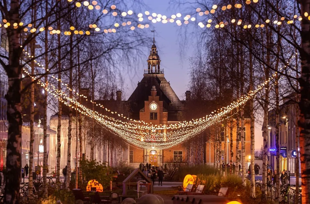  Guided Walk Höstljus