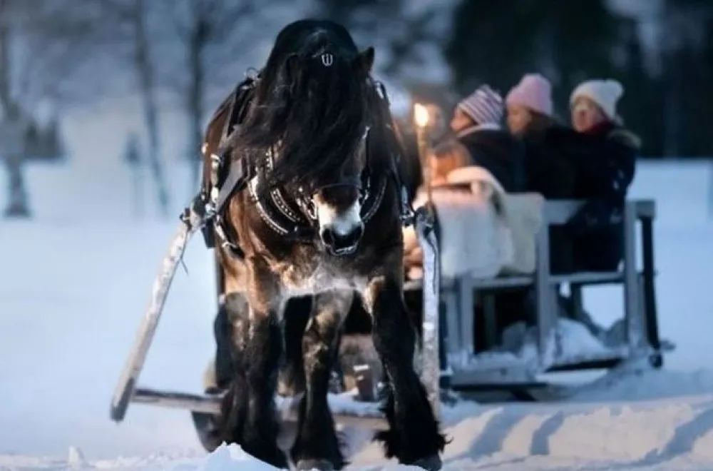 Sleigh ride to Santa