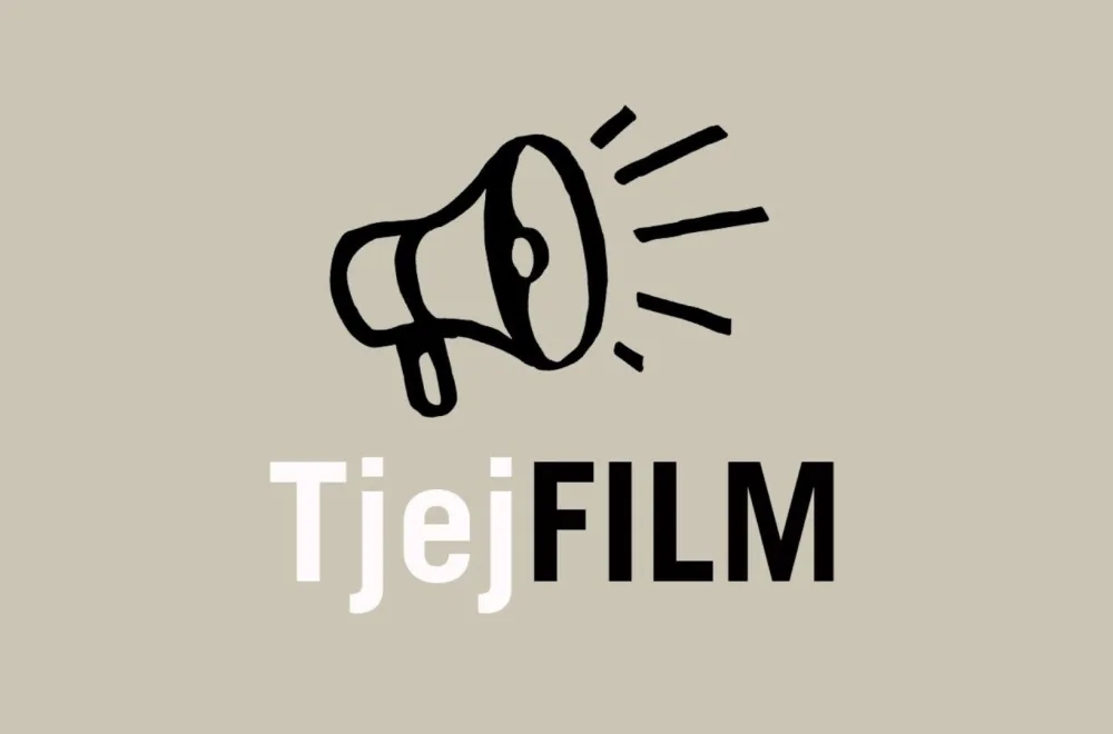 Chick flick at Museum of Women's History