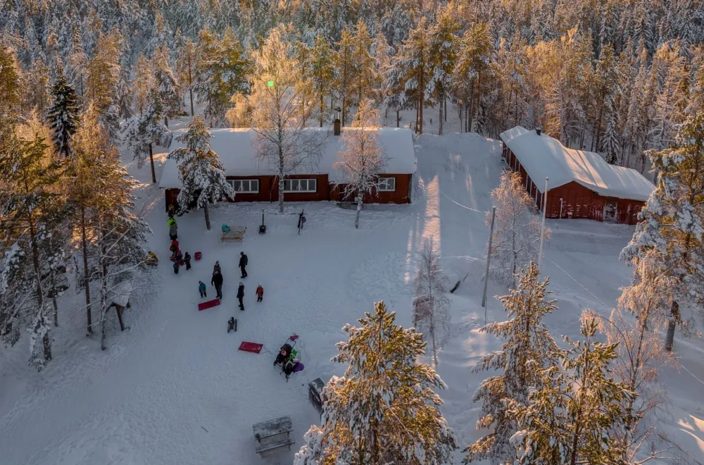 Northern Lights Dinner 