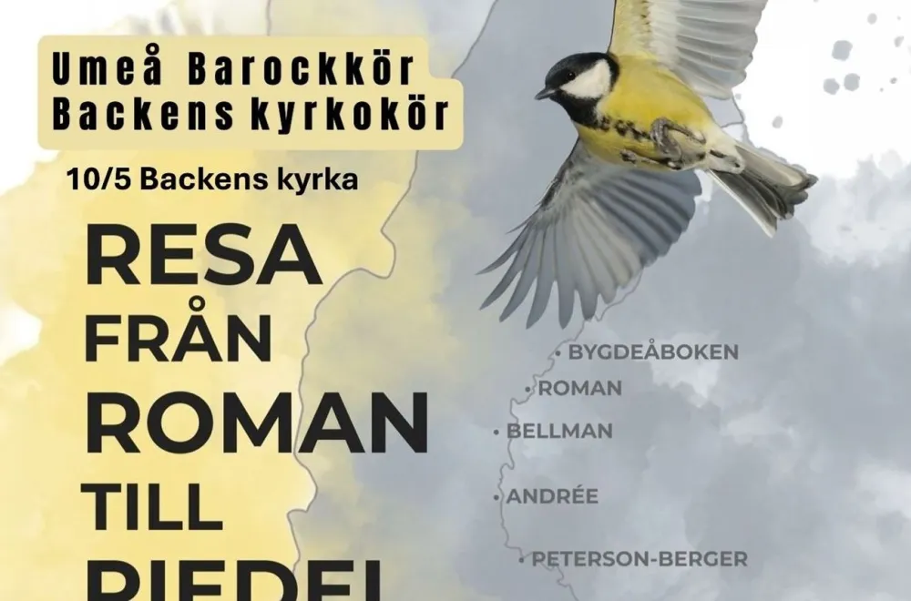 Resa från Roman till Riedel