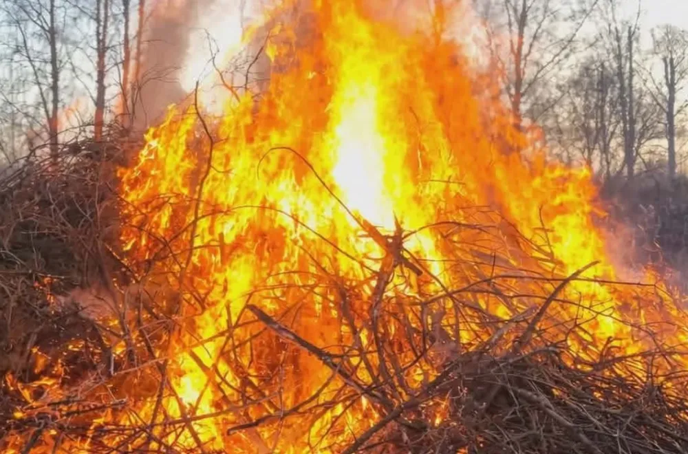 Walpurgis Celebration