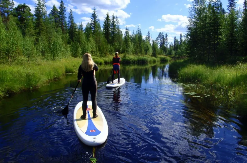 Beaver safari with paddle boards