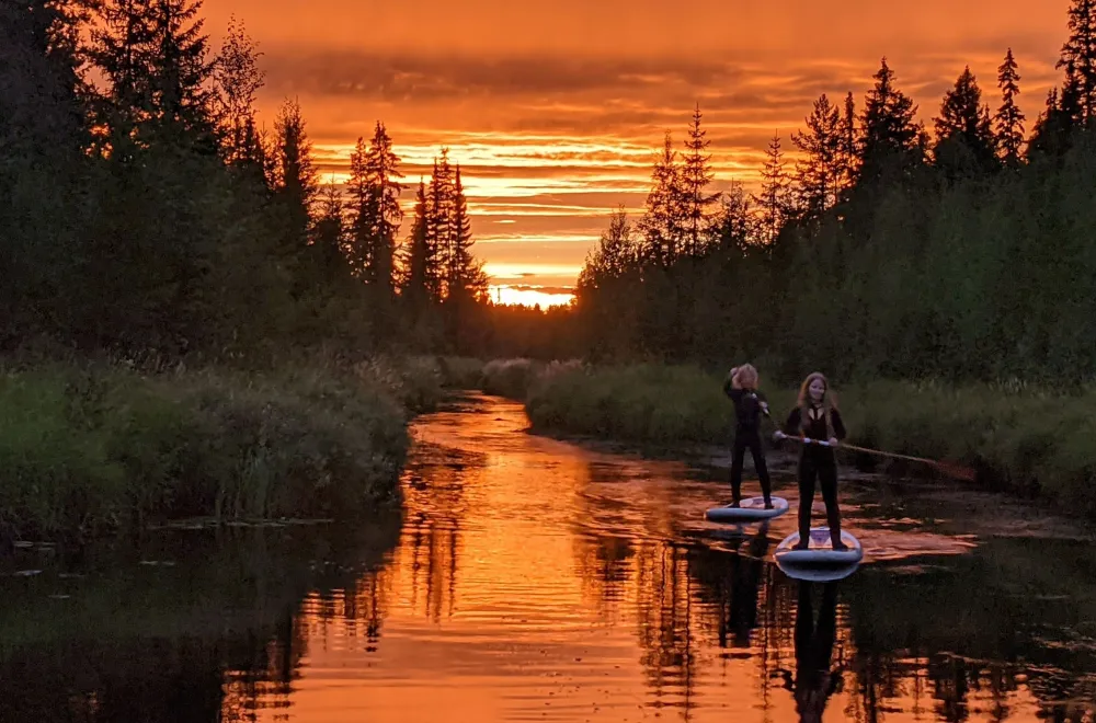 Beaver safari with paddle boards