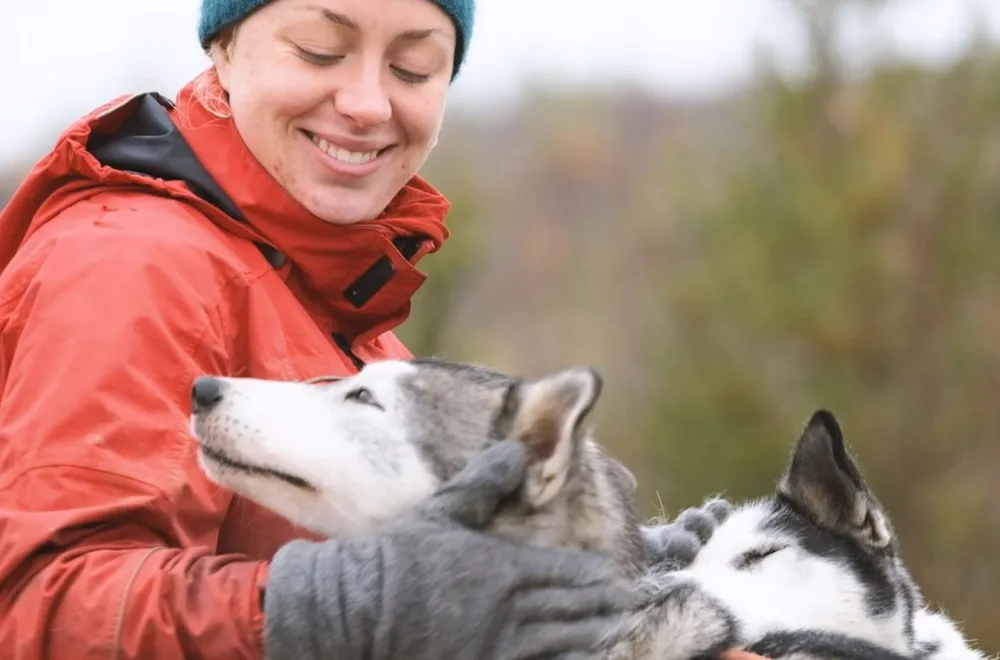 Dog Sledding on Wheels - Rookie run, with Aurora Borealis Adventures