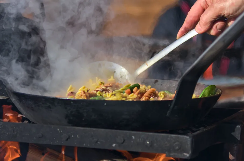 Dog Sledding on Wheels - Half-Day Tour, with Aurora Borealis Adventures 