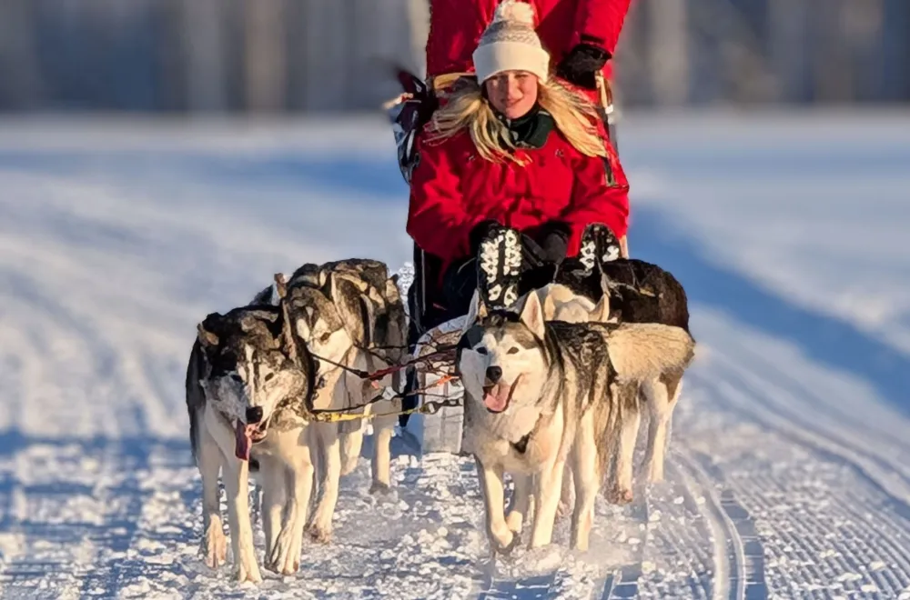 Dog sledding with Aurora Borealis Adventures