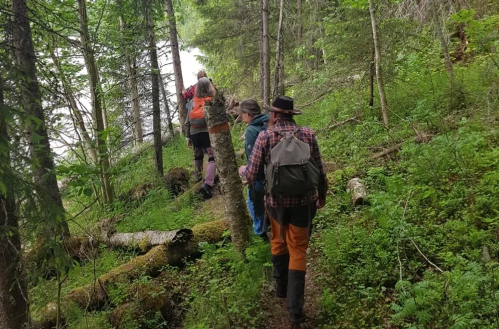 Walk together with Friluftsfrämjandet Vindeln