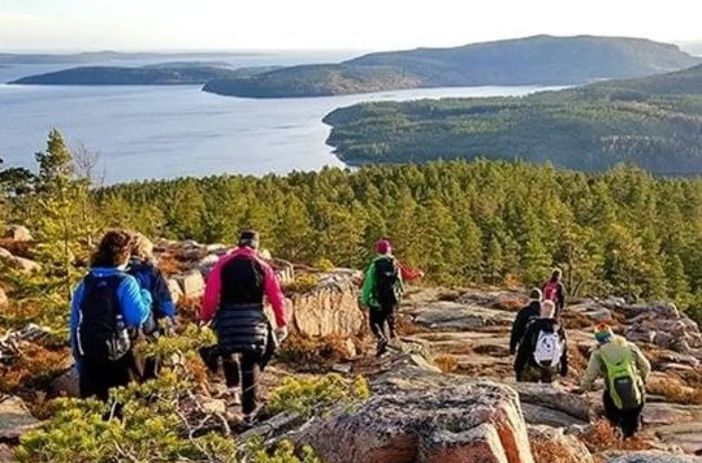 ett gäng vandrare på ett berg med utsikt över skog och sjö