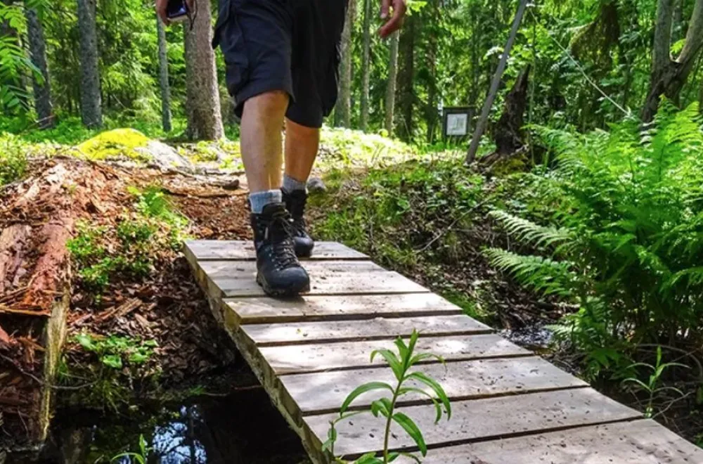 Hiking Along the Vindelforsarna Trail