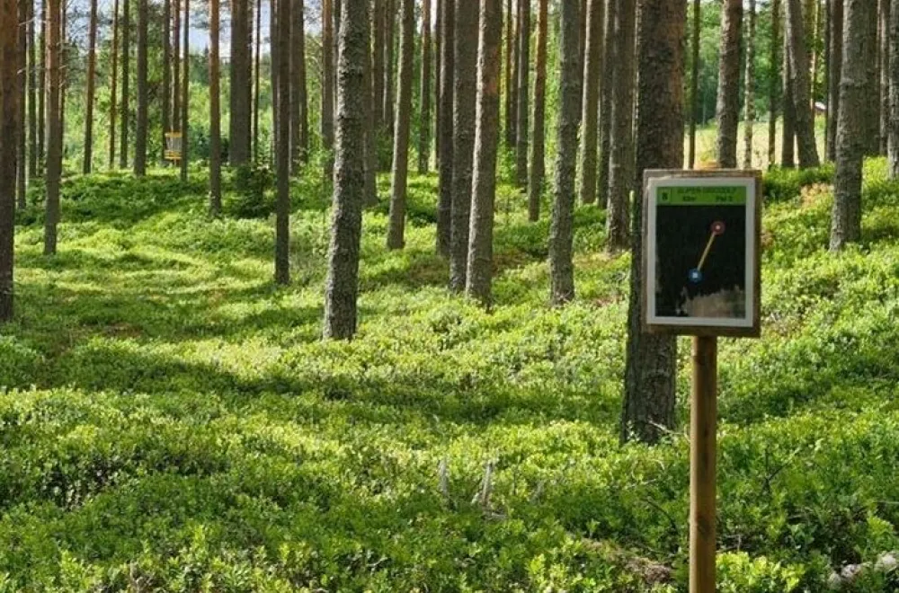 Slipen disc golf