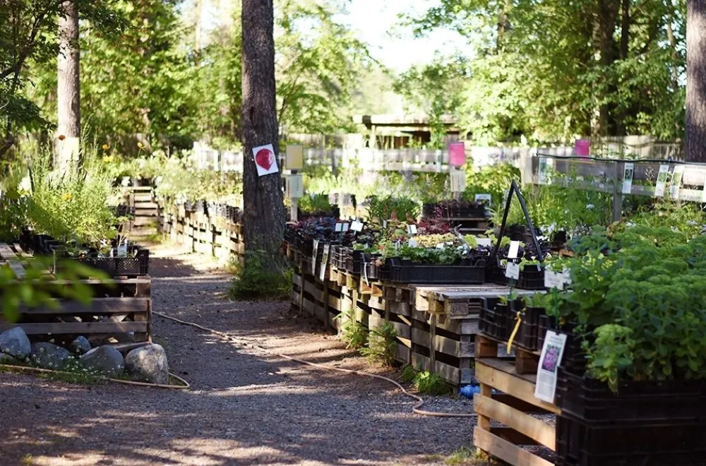 Smultronstället garden and café