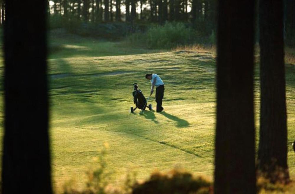 Umeå Golf