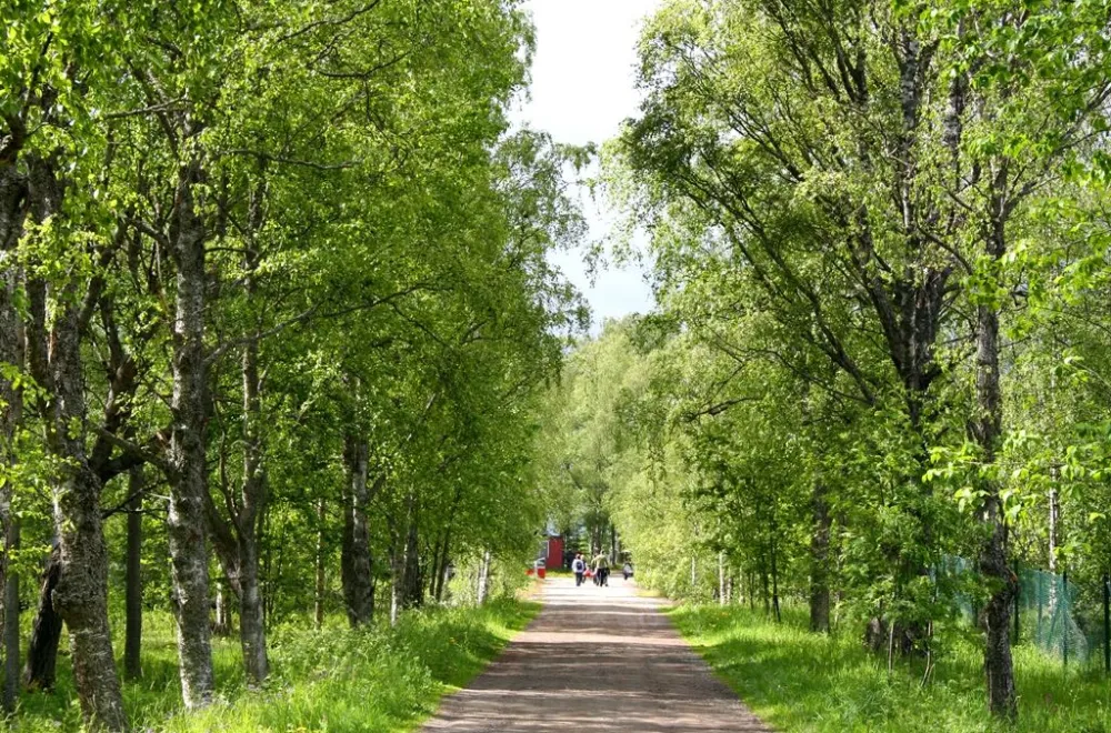 Norrbyskärs msueum