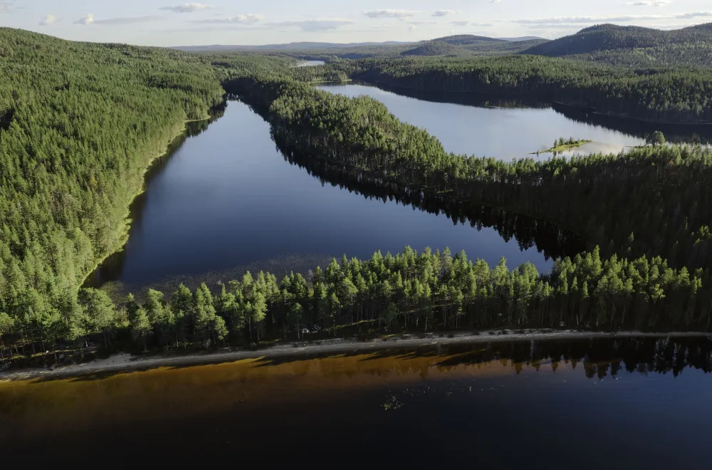 skogslandskap och sjöar