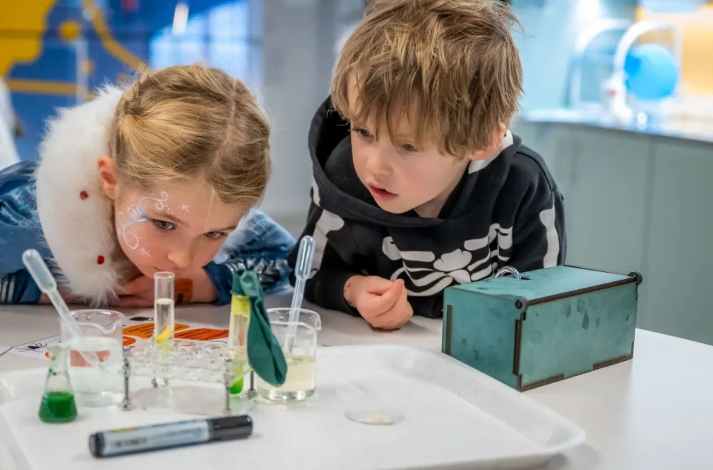 Discover Curiosum during the Autumn Break