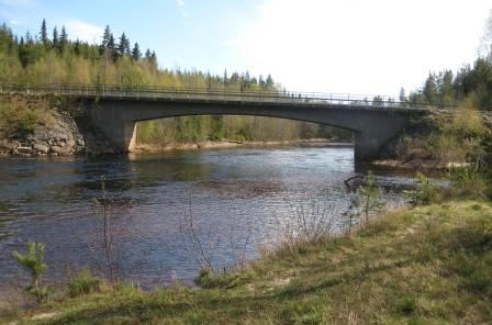 Bro över Lögdeälven vid Lillängets vildmarkscamping