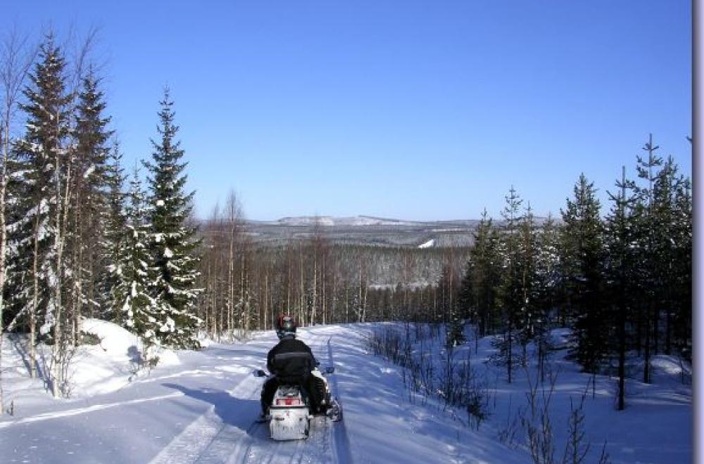 Snowmobile trails in Bjurholm