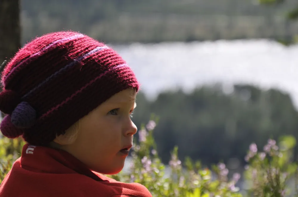 Visit Starrberget nature reserve