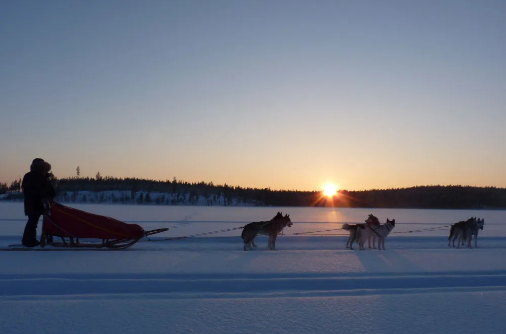 A taste of mushing with Aurora Borealis Adventure